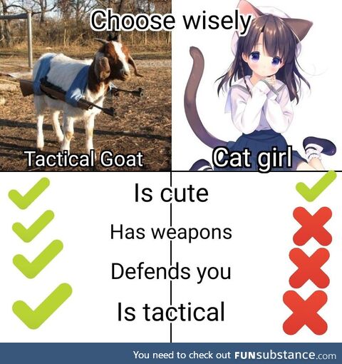 Double barreled goatling gun