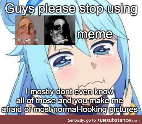 Pls dont make this meme, you make Aqua cried