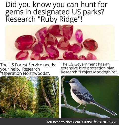 Ruby ridge