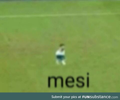 mesi