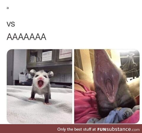 AAAAAAAAAAAAAAAAAAAAAAAAAAAAAAAAAAAAAAAAAAAAAAAA