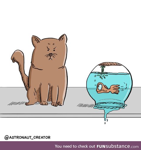 Cat fish