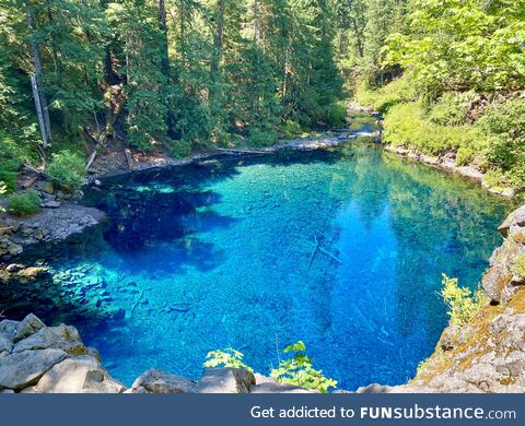 Tamolitch Blue Pool in Oregon