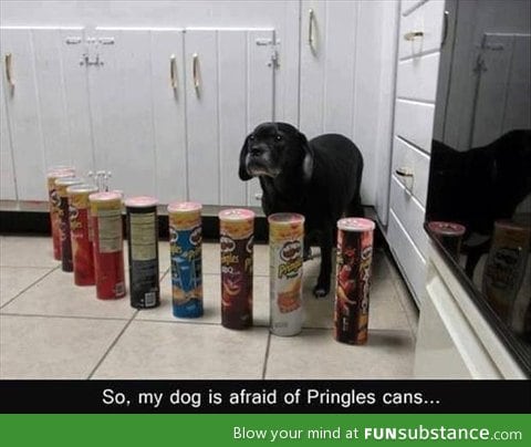 Beware of the pringles man