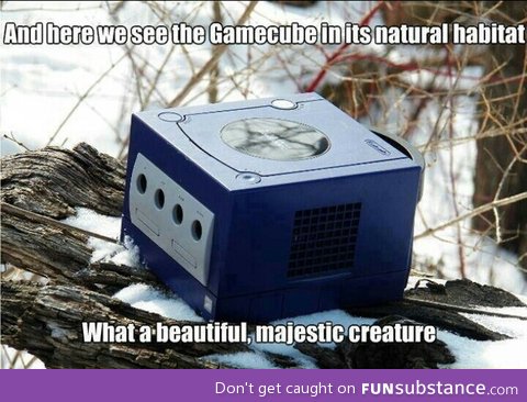 They should make the GameCube be a legendary pokemon