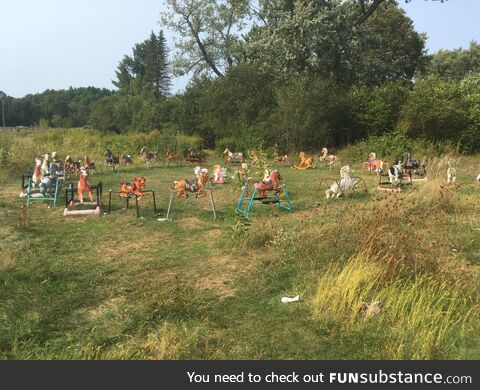 Ponyhenge, in Lincoln, Massachusetts