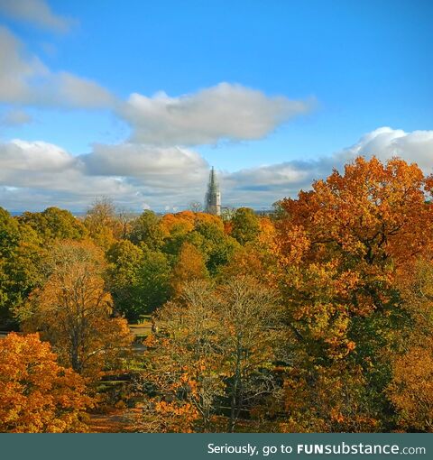 Autumn in Linköping, Sweden