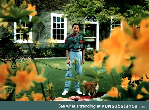 Last photo of freddie mercury took on Aug 28 1991, exactly 32 years ago