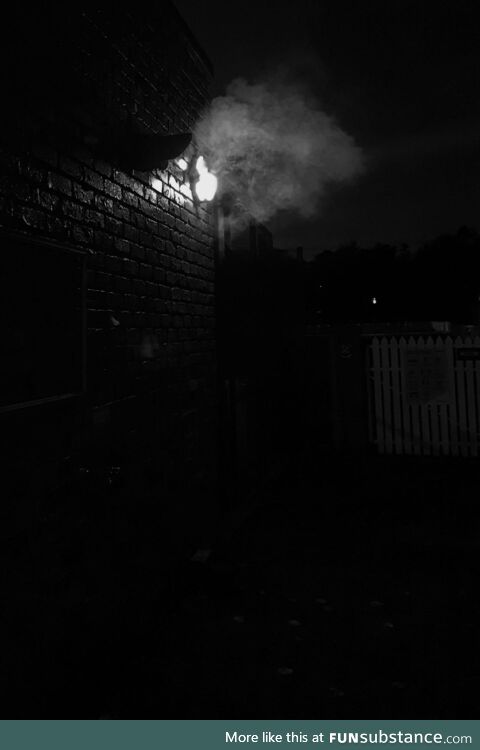 [OC] mobile phone late night dog walk shot