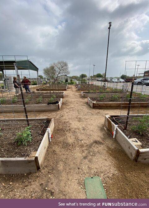 All the food we grow will be donated to our local food bank. “OC”