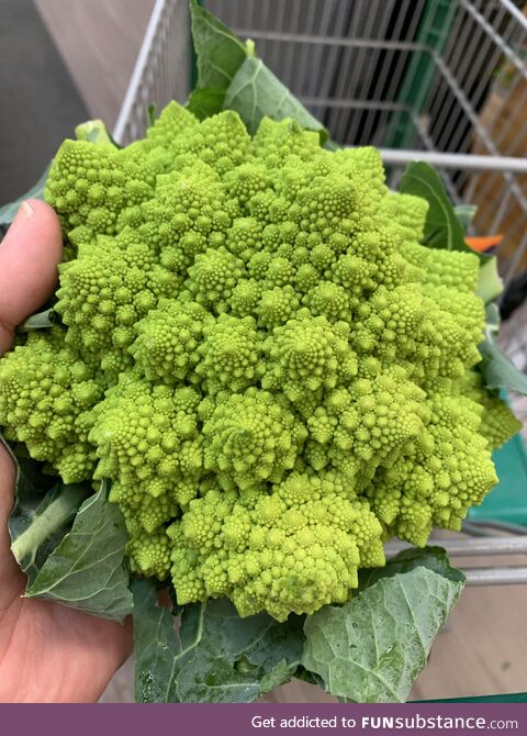 Fractal broccoli is insane