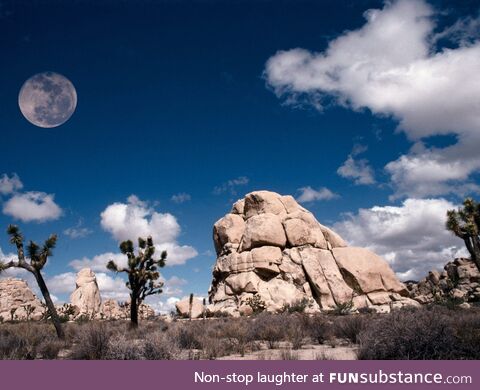 Full moon Joshua Tree