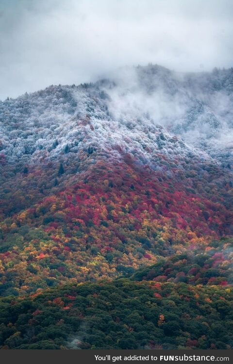 A tale of two seasons north carolina 10/16