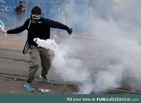 French protester