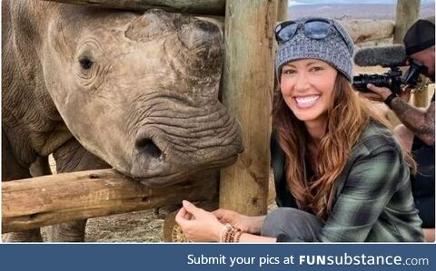 Shannon elizabeth and a rhino