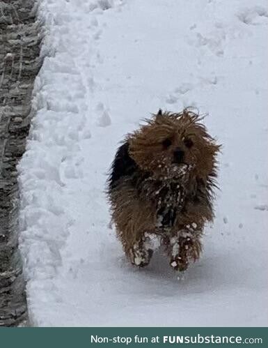 First snow