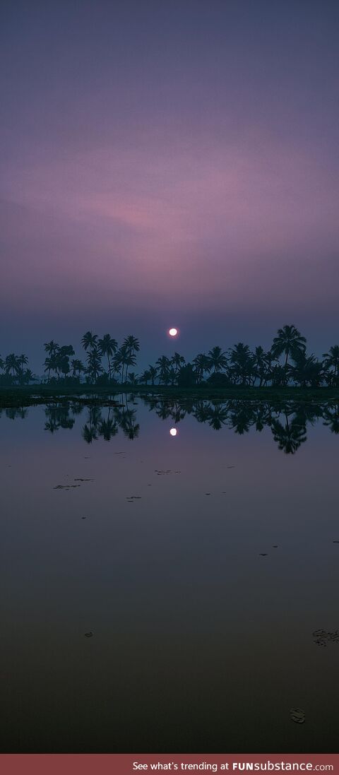 A blissful evening sight from Kerala backwaters. [OC]