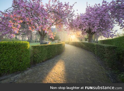 A beautiful spring morning in The Netherlands. [OC]