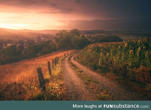 German Odenwald - After a heavy rainfall [OC]