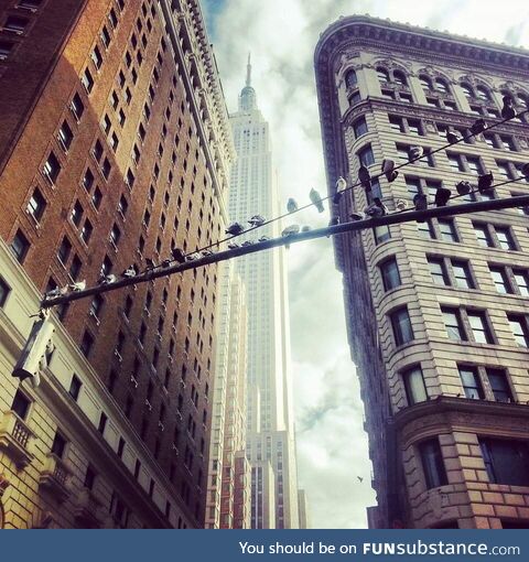 New york city @ herald square