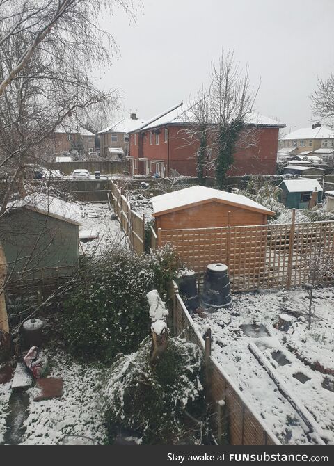 Current British weather, one week into March. Southwest UK