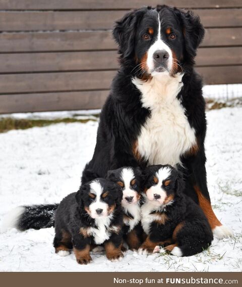 Beautiful family