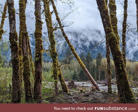 [oc] olympic national park