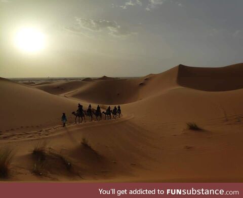 Sunset in the Sahara Desert