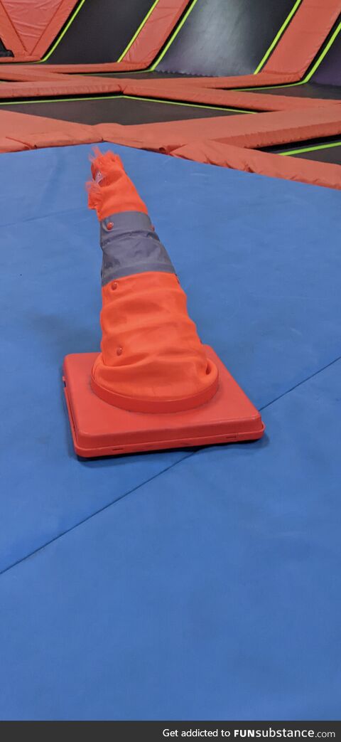 The sorting cone