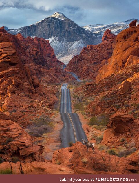 The Valley of Fire - Christopher Balladarez