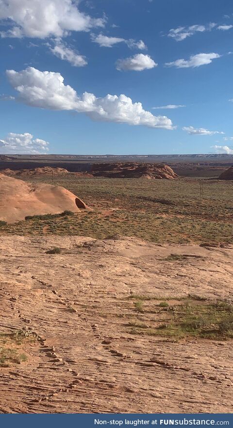 Found the Alaskan bull worms cave while hiking near Kanab, UT