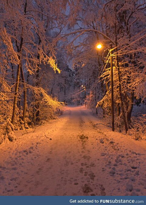 Winter in Finland [OC]