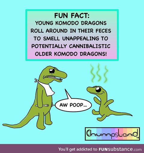 A fun fact about komodo dragons [oc]