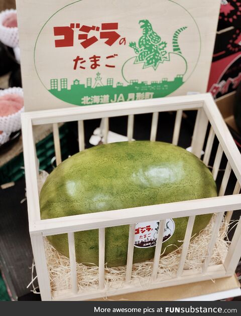 At our supermarket, there’s a large watermelon in a cage. The sign says,