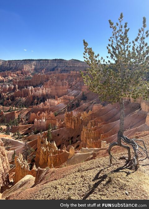 Bryce canyon - utah