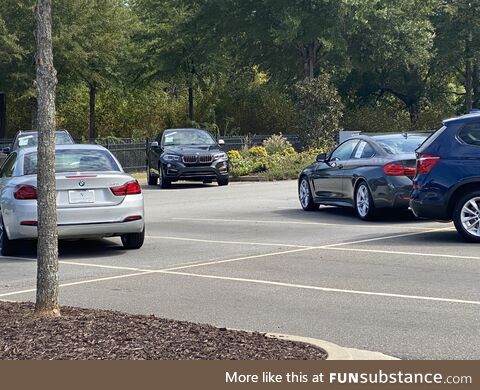 Even the dealerships park them like assholes