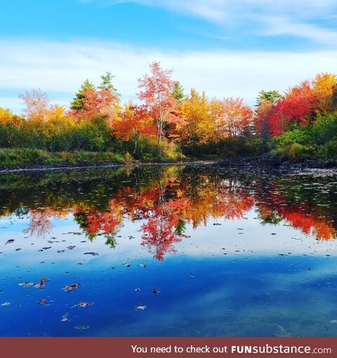 New Hampshire Fall foliage yesterday