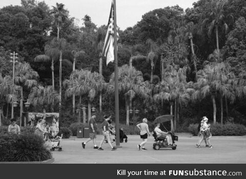 Disney World flag at half mast, after three children were murdered at school