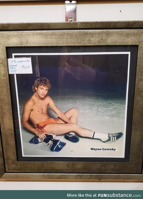 Shopping around an Antique Mall and came across Wayne Gretzy's Dudeoir photo