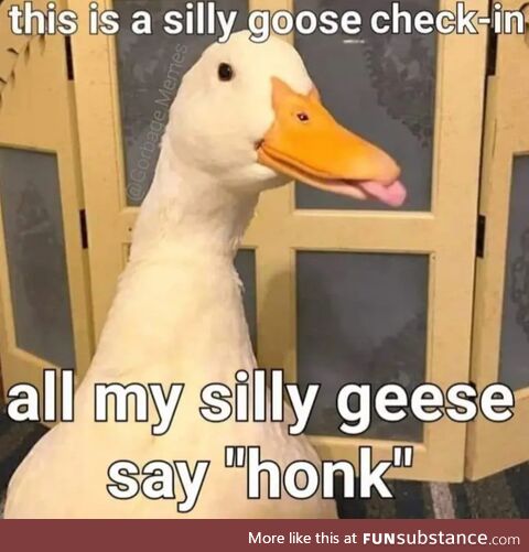 Honk!