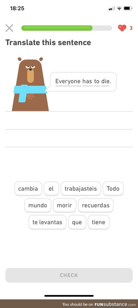 Ok duolingo!