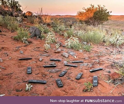 A very remote area of outback Australia