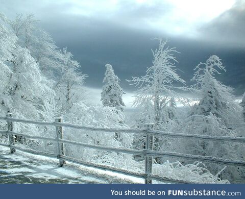 Fluffy Snow. Top off ol Smoky TN