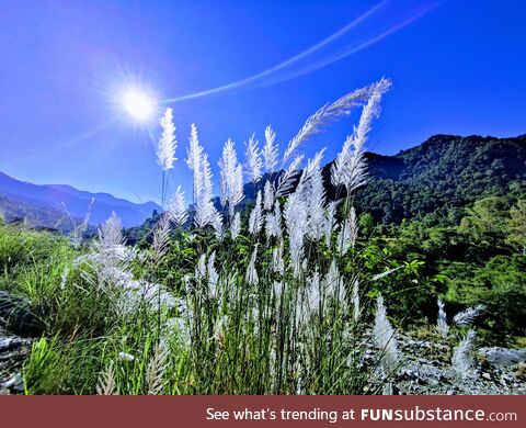 Green fields and blue skies. The perfect hike