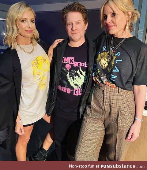 Sarah Michelle Gellar, Seth Green and Emma Caulfield at an Ed Sheeran concert (Buffy