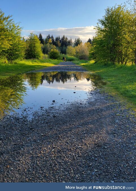 [OC] Pioneer Park in Tumwater WA