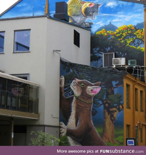 The cat wall in uppsala, sweden