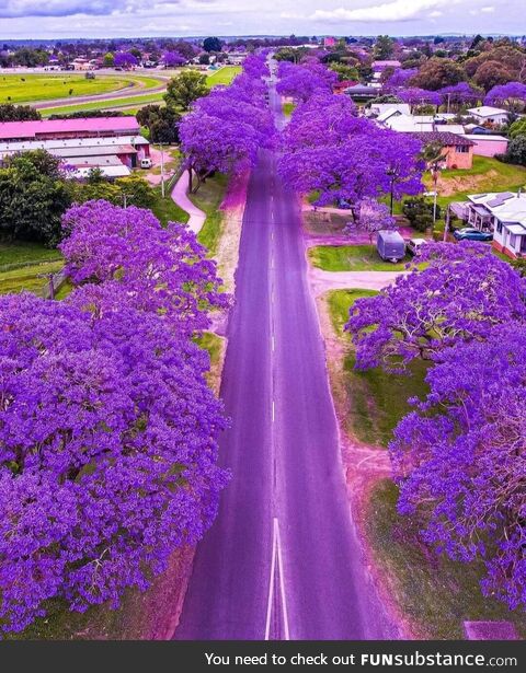 Grafton, australia