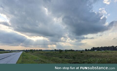 Afternoon sunshine on a very humid day. Indiana, US