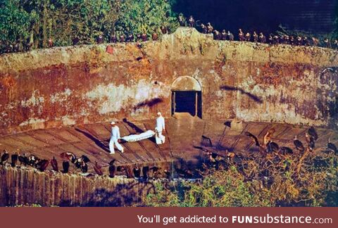 Vultures waiting to feed on a human corpse in Mumbai's Tower of Silence